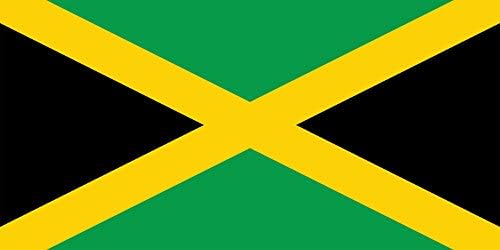 Quick Scooter Rentals